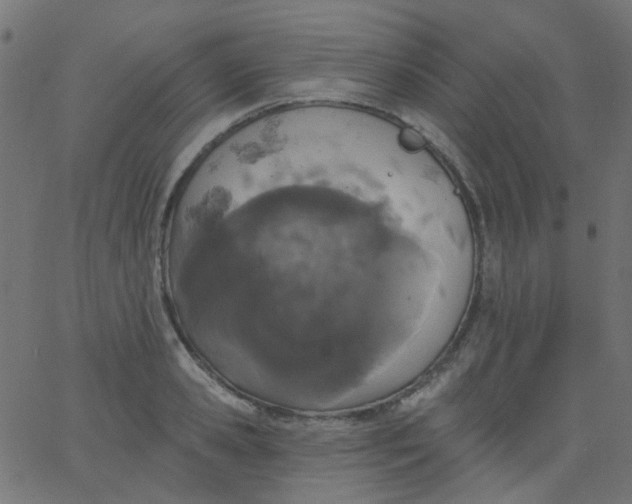 X0000067900941200604271849