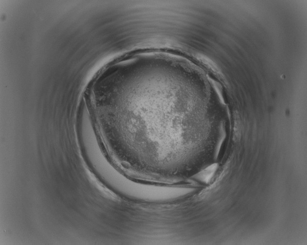 X0000067900942200604271849