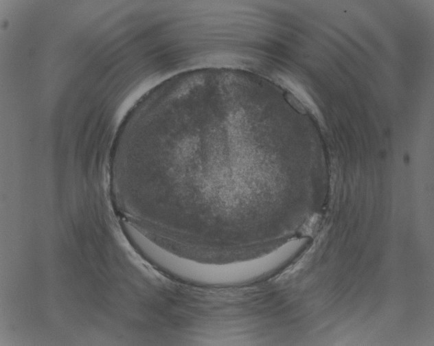 X0000067900944200604271849