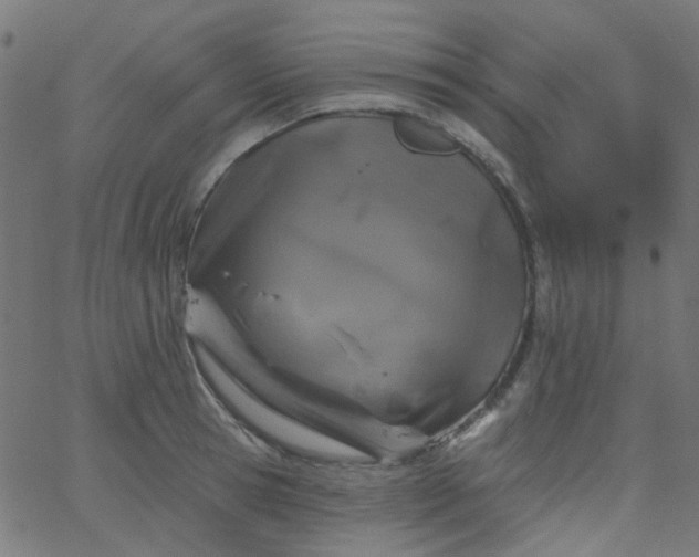 X0000067900945200604271849