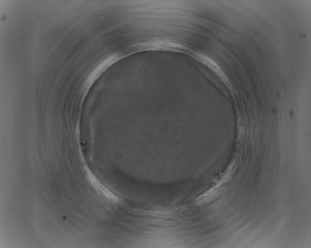 X0000067900946200604271849