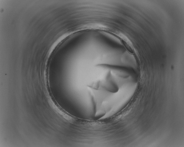 X0000067900947200604271849