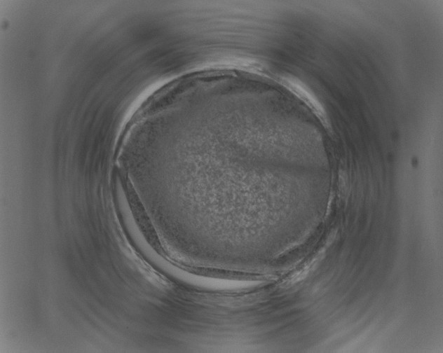 X0000067900948200604271849