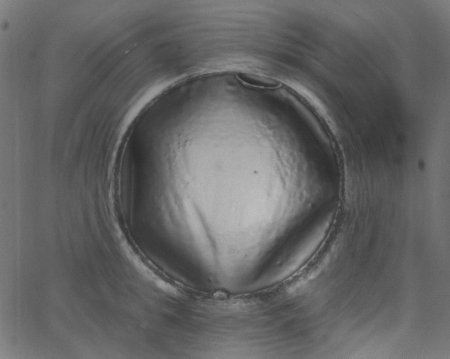 X0000067900949200604271849