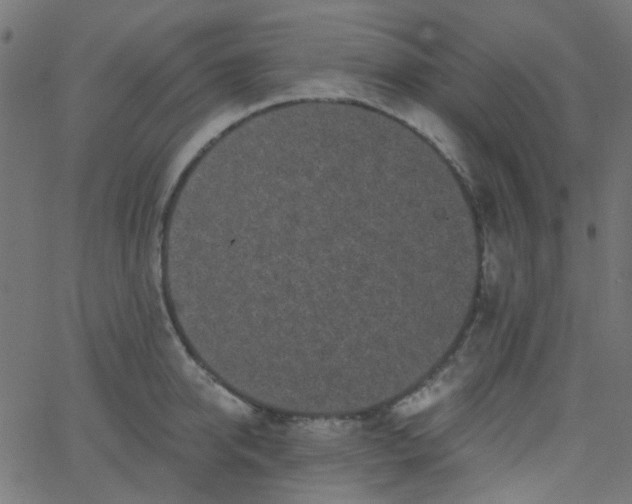 X0000067900950200604271849