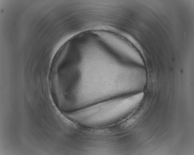 X0000067900951200604271849