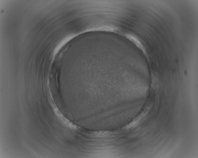 X0000067900952200604271849