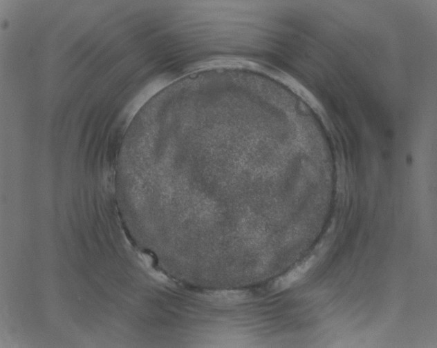 X0000067900953200604271849