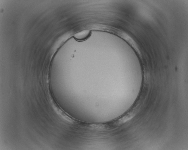 X0000067900954200604271849