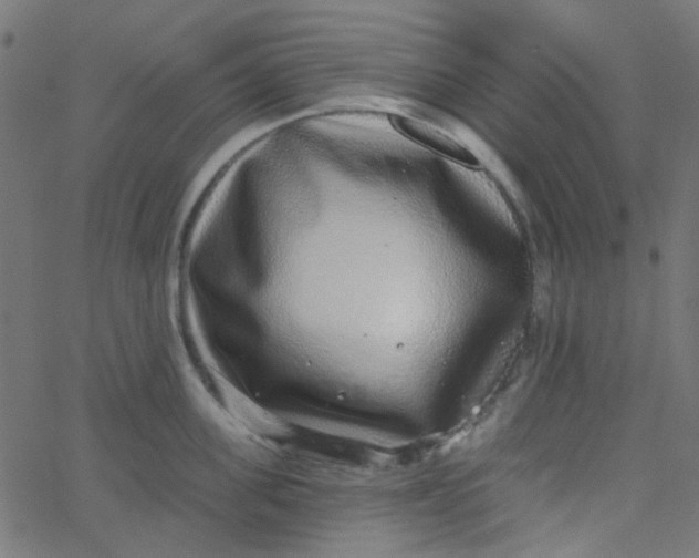 X0000067900955200604271849