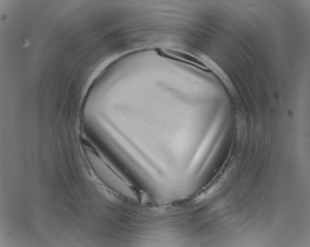 X0000067900956200604271849