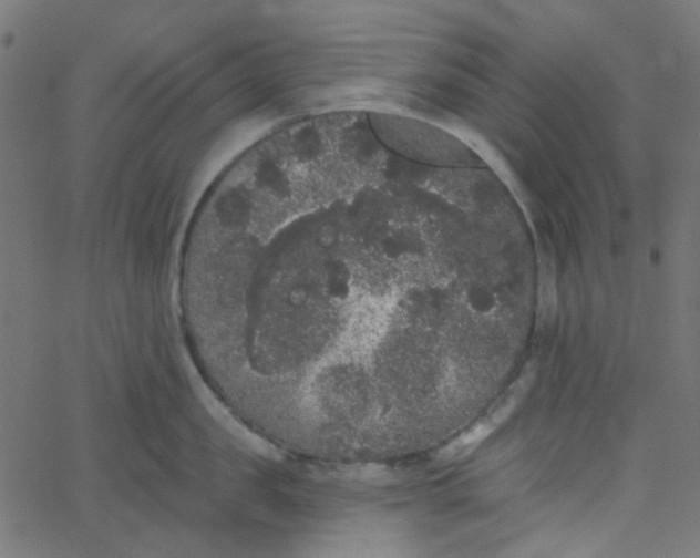 X0000067900957200604271849