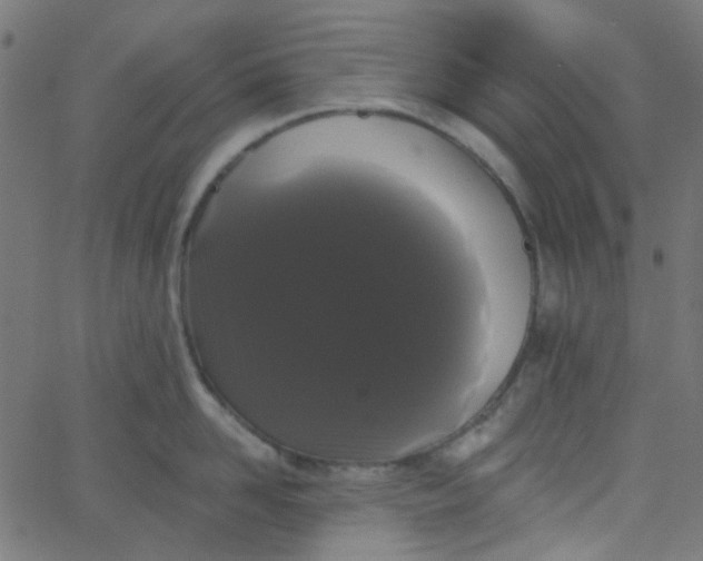 X0000067900958200604271849