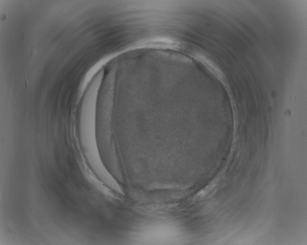 X0000067900960200604271849