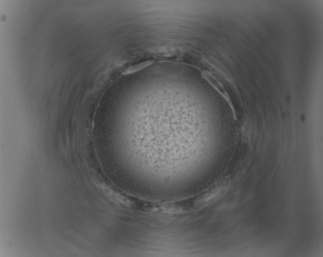 X0000067900961200604271848