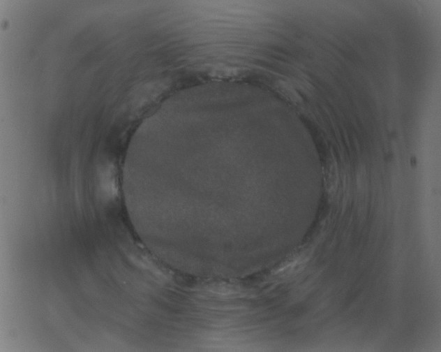 X0000067900962200604271848