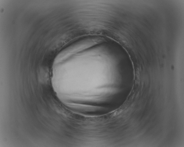 X0000067900963200604271848