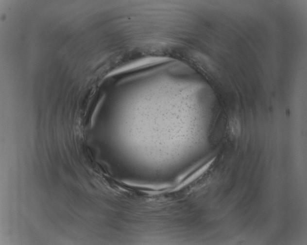 X0000067900964200604271848