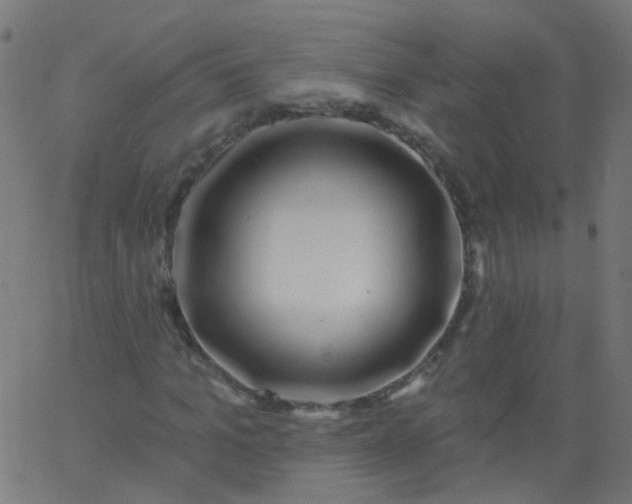 X0000067900965200604271848