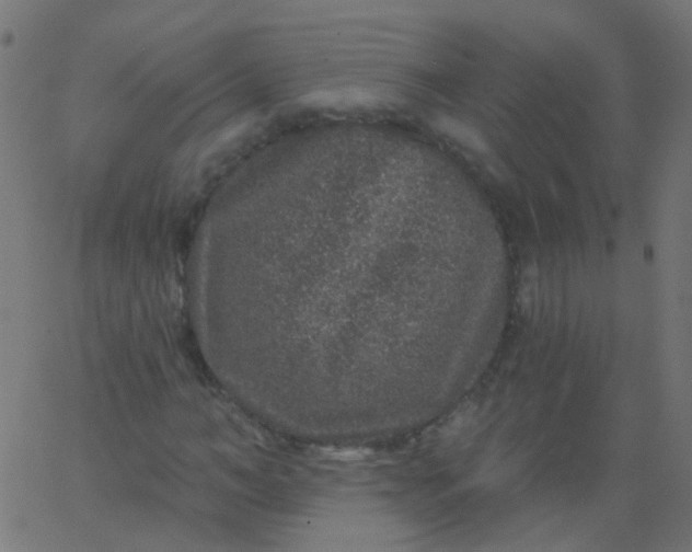 X0000067900966200604271848