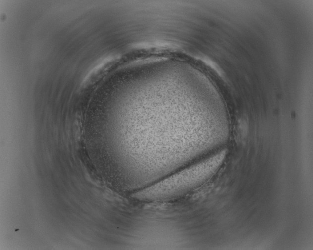 X0000067900967200604271848