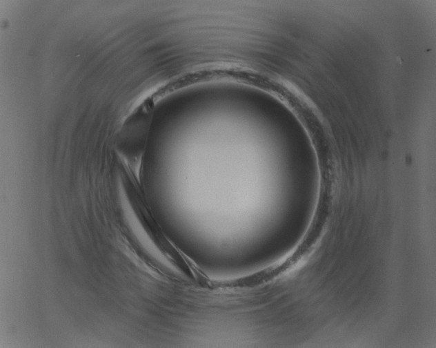 X0000067900969200604271848