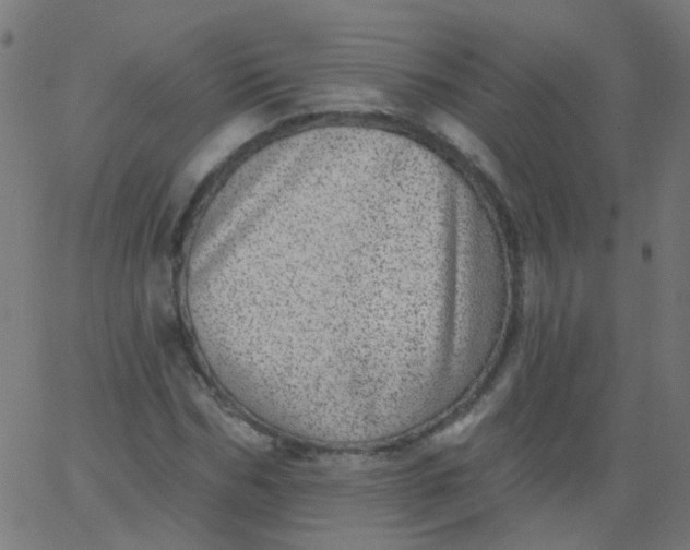 X0000067900970200604271848