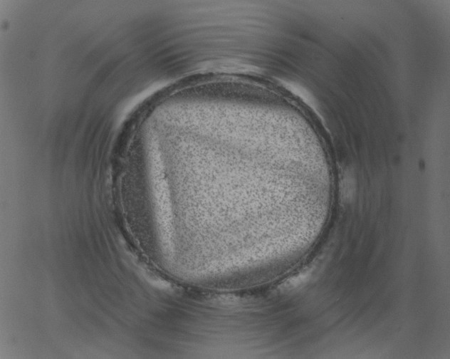 X0000067900971200604271848