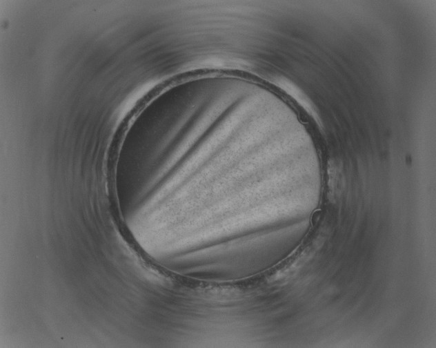 X0000067900972200604271848