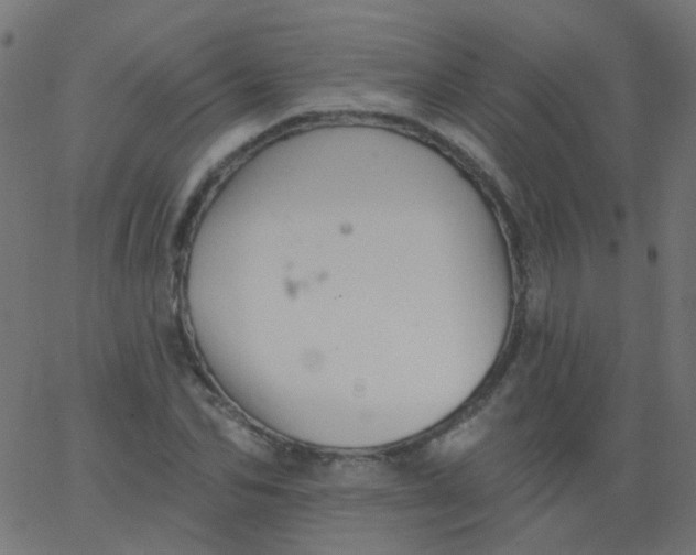 X0000067900974200604271848