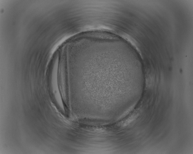 X0000067900975200604271848