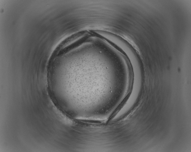 X0000067900976200604271848