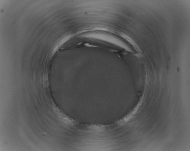 X0000067900977200604271848