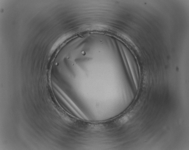 X0000067900978200604271848