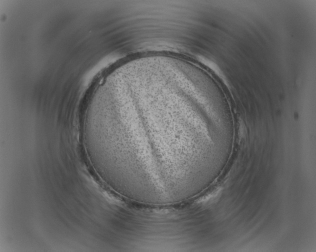 X0000067900979200604271848