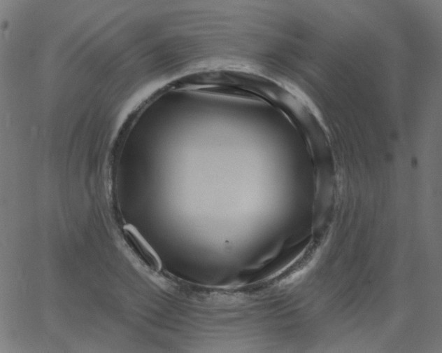 X0000067900981200604271848