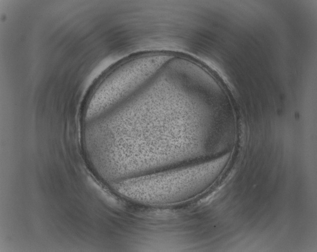 X0000067900982200604271848