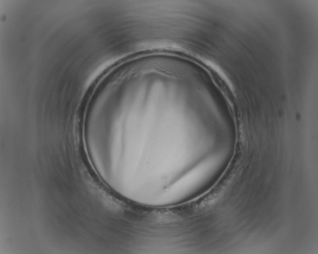 X0000067900983200604271848