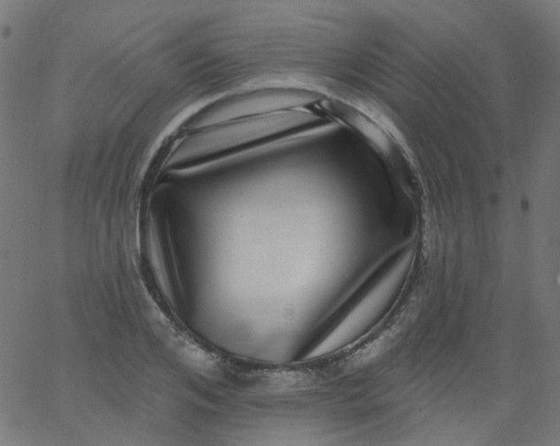 X0000067900984200604271848