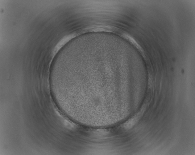 X0000067900986200604271848