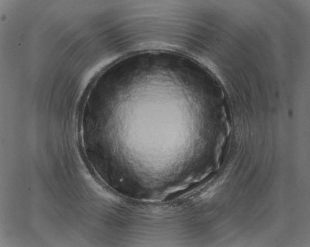 X0000067900987200604271848