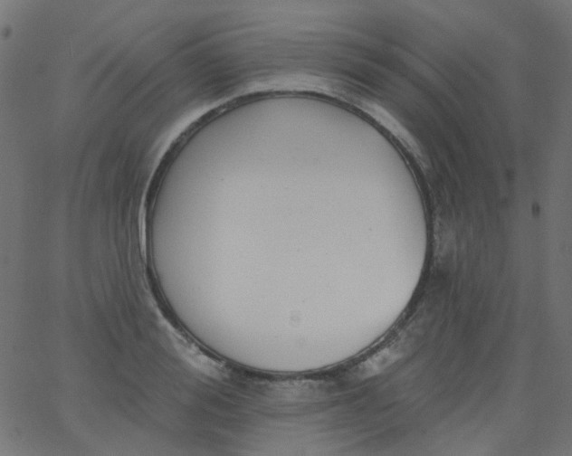 X0000067900988200604271848