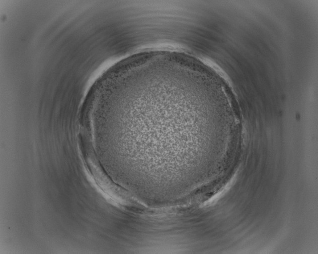 X0000067900989200604271848