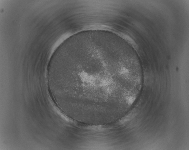 X0000067900990200604271848