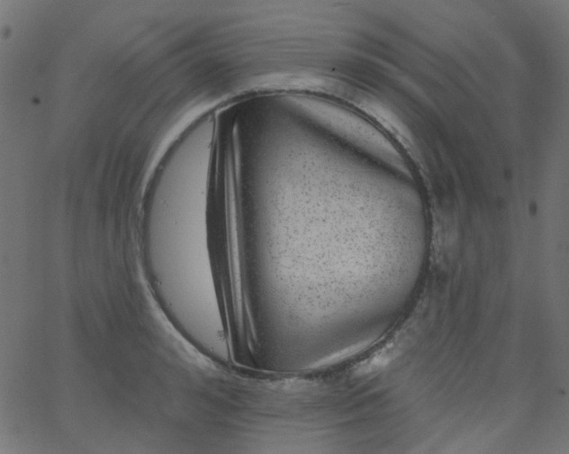 X0000067900992200604271848