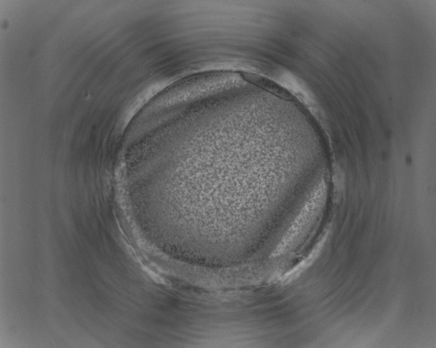 X0000067900993200604271848