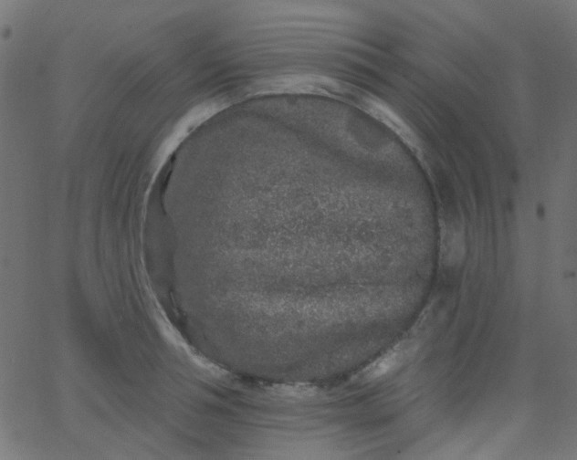 X0000067900994200604271848