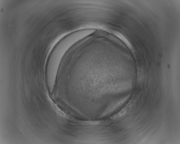 X0000067900996200604271848