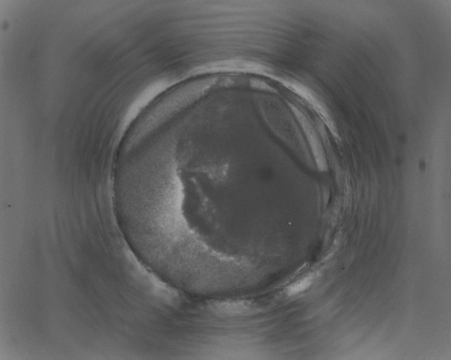 X0000067900998200604271848