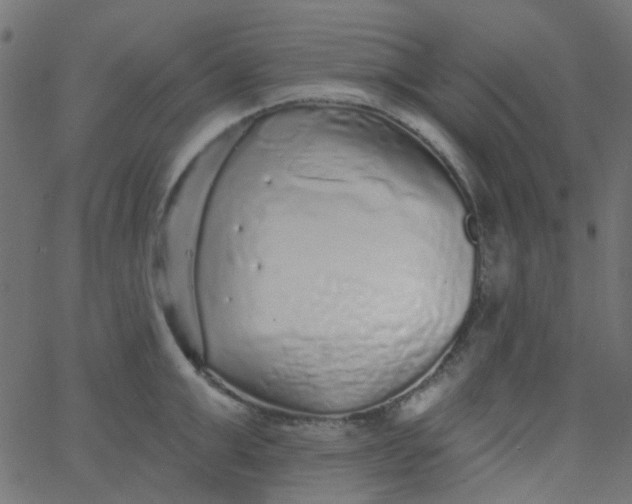 X0000067900999200604271848